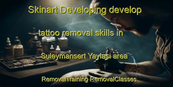 Skinart Developing develop tattoo removal skills in Suleymansert Yaylasi area | #RemovalTraining #RemovalClasses #SkinartTraining-Turkey