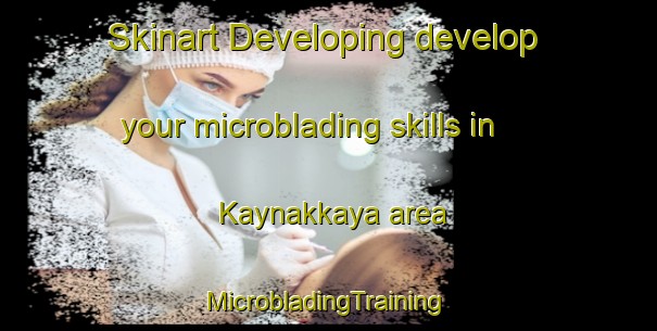 Skinart Developing develop your microblading skills in Kaynakkaya area | #MicrobladingTraining #MicrobladingClasses #SkinartTraining-Turkey