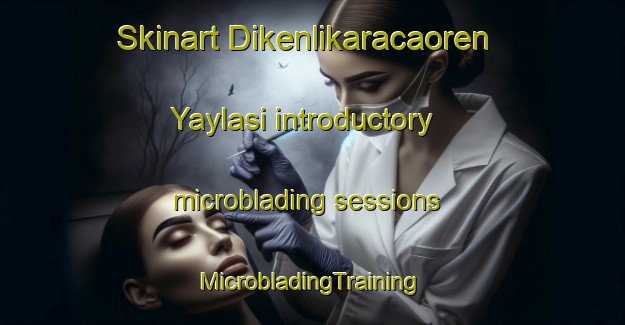 Skinart Dikenlikaracaoren Yaylasi introductory microblading sessions | #MicrobladingTraining #MicrobladingClasses #SkinartTraining-Turkey