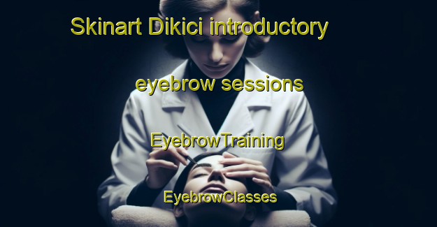 Skinart Dikici introductory eyebrow sessions | EyebrowTraining | EyebrowClasses | SkinartTraining-Turkey