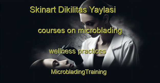 Skinart Dikilitas Yaylasi courses on microblading wellness practices | #MicrobladingTraining #MicrobladingClasses #SkinartTraining-Turkey