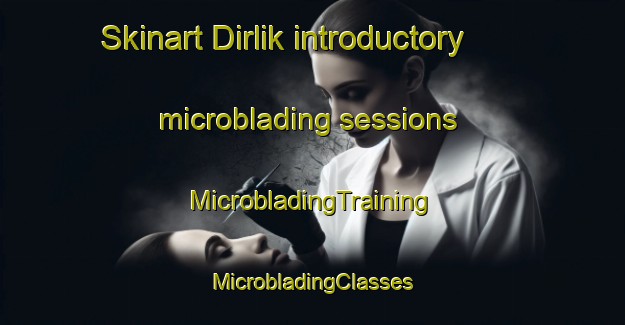 Skinart Dirlik introductory microblading sessions | #MicrobladingTraining #MicrobladingClasses #SkinartTraining-Turkey