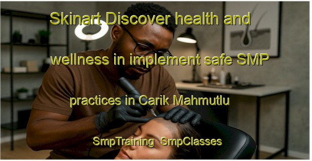 Skinart Discover health and wellness in implement safe SMP practices in Carik Mahmutlu | SmpTraining | SmpClasses | SkinartTraining-Turkey