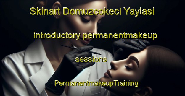 Skinart Domuzcokeci Yaylasi introductory permanentmakeup sessions | #PermanentmakeupTraining #PermanentmakeupClasses #SkinartTraining-Turkey