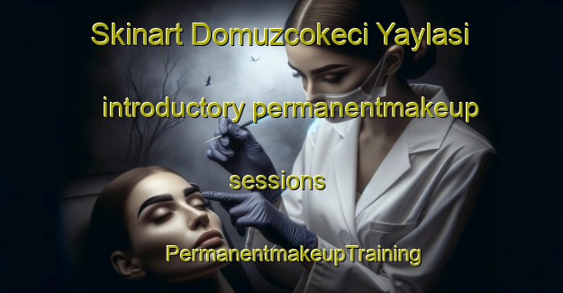 Skinart Domuzcokeci Yaylasi introductory permanentmakeup sessions | #PermanentmakeupTraining #PermanentmakeupClasses #SkinartTraining-Turkey