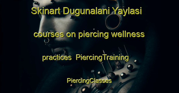 Skinart Dugunalani Yaylasi courses on piercing wellness practices | #PiercingTraining #PiercingClasses #SkinartTraining-Turkey