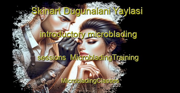 Skinart Dugunalani Yaylasi introductory microblading sessions | #MicrobladingTraining #MicrobladingClasses #SkinartTraining-Turkey