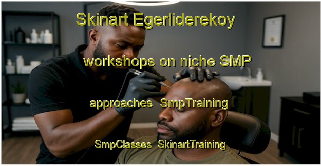 Skinart Egerliderekoy workshops on niche SMP approaches | SmpTraining | SmpClasses | SkinartTraining-Turkey