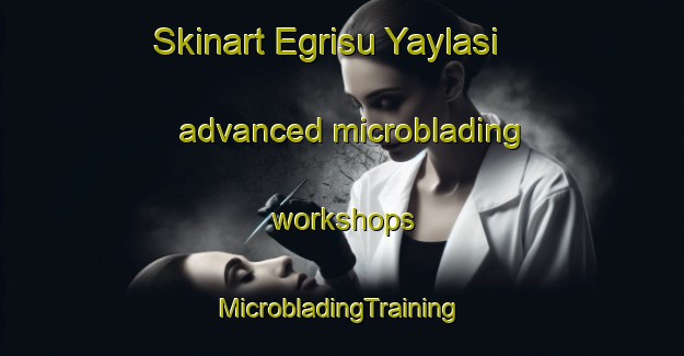 Skinart Egrisu Yaylasi advanced microblading workshops | #MicrobladingTraining #MicrobladingClasses #SkinartTraining-Turkey