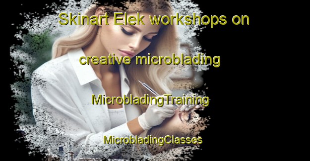Skinart Elek workshops on creative microblading | MicrobladingTraining | MicrobladingClasses | SkinartTraining-Turkey