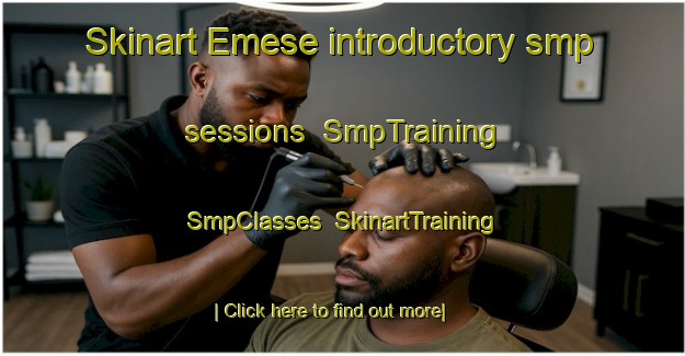 Skinart Emese introductory smp sessions | SmpTraining | SmpClasses | SkinartTraining-Turkey