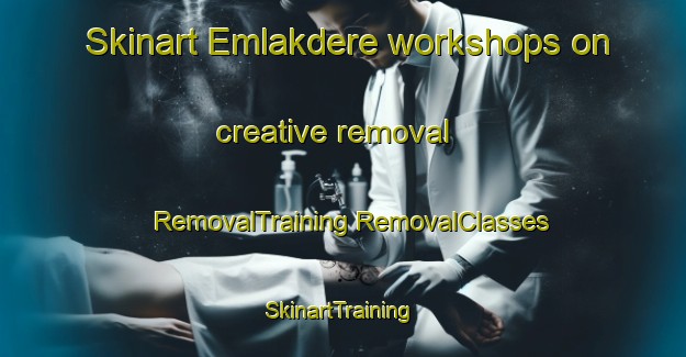 Skinart Emlakdere workshops on creative removal | #RemovalTraining #RemovalClasses #SkinartTraining-Turkey