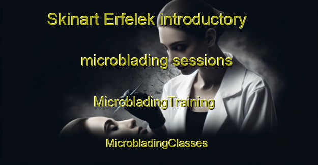 Skinart Erfelek introductory microblading sessions | MicrobladingTraining | MicrobladingClasses | SkinartTraining-Turkey