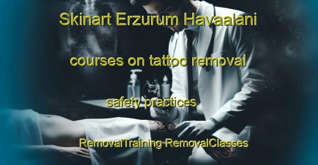 Skinart Erzurum Havaalani courses on tattoo removal safety practices | #RemovalTraining #RemovalClasses #SkinartTraining-Turkey