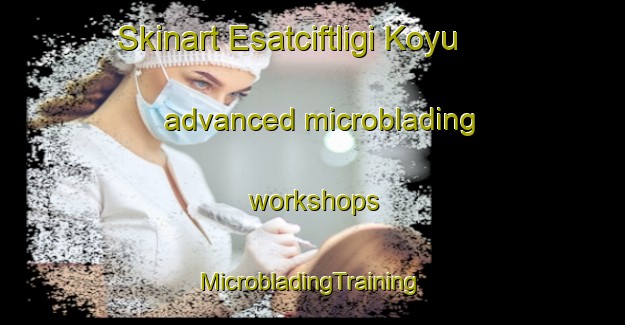 Skinart Esatciftligi Koyu advanced microblading workshops | #MicrobladingTraining #MicrobladingClasses #SkinartTraining-Turkey