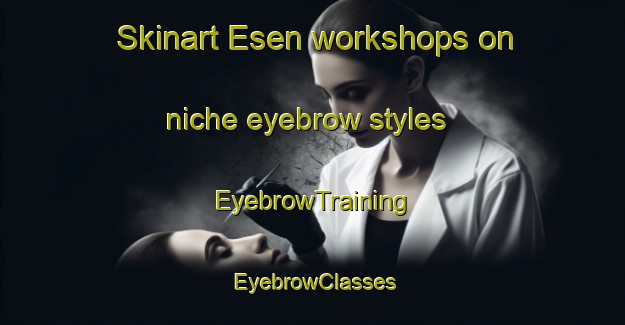 Skinart Esen workshops on niche eyebrow styles | EyebrowTraining | EyebrowClasses | SkinartTraining-Turkey