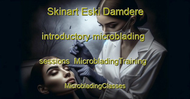 Skinart Eski Damdere introductory microblading sessions | #MicrobladingTraining #MicrobladingClasses #SkinartTraining-Turkey