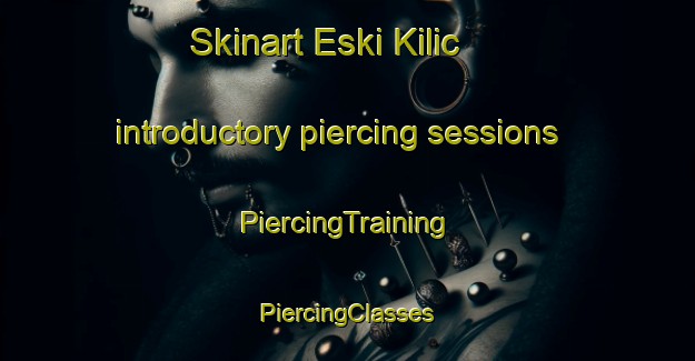 Skinart Eski Kilic introductory piercing sessions | #PiercingTraining #PiercingClasses #SkinartTraining-Turkey