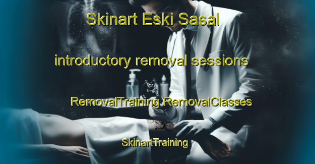 Skinart Eski Sasal introductory removal sessions | #RemovalTraining #RemovalClasses #SkinartTraining-Turkey