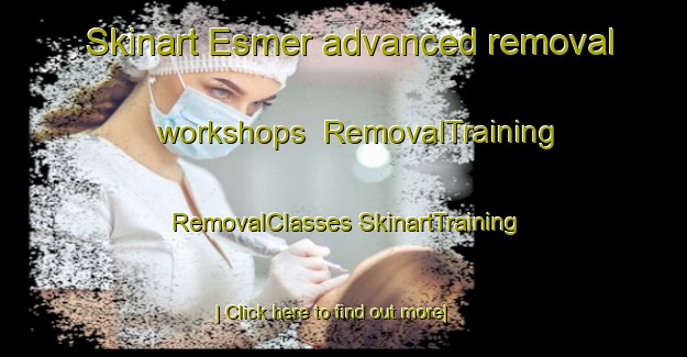 Skinart Esmer advanced removal workshops | #RemovalTraining #RemovalClasses #SkinartTraining-Turkey