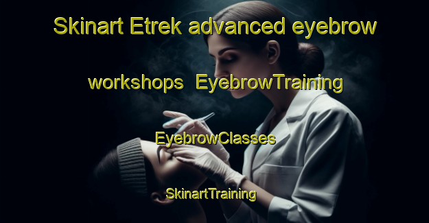 Skinart Etrek advanced eyebrow workshops | EyebrowTraining | EyebrowClasses | SkinartTraining-Turkey