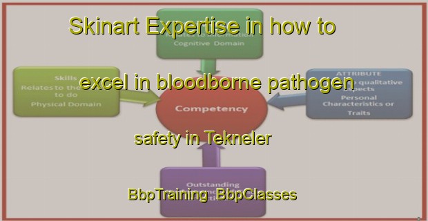 Skinart Expertise in how to excel in bloodborne pathogen safety in Tekneler | BbpTraining | BbpClasses | SkinartTraining-Turkey