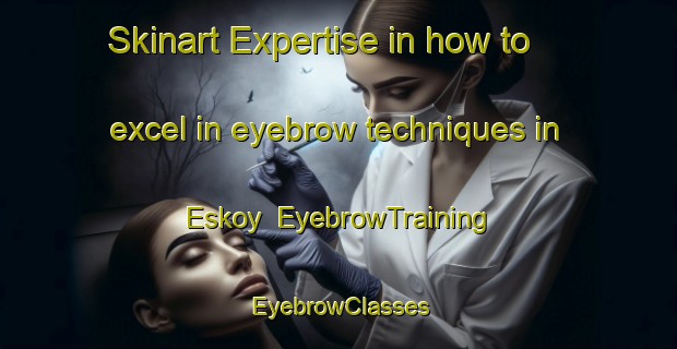 Skinart Expertise in how to excel in eyebrow techniques in Eskoy | EyebrowTraining | EyebrowClasses | SkinartTraining-Turkey