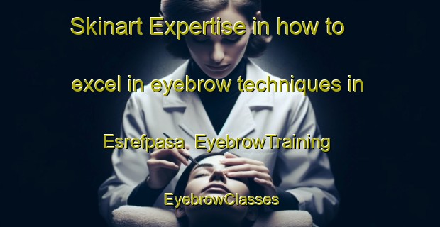 Skinart Expertise in how to excel in eyebrow techniques in Esrefpasa | EyebrowTraining | EyebrowClasses | SkinartTraining-Turkey