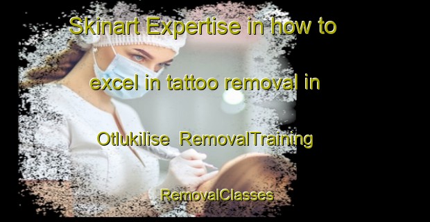Skinart Expertise in how to excel in tattoo removal in Otlukilise | RemovalTraining | RemovalClasses | SkinartTraining-Turkey