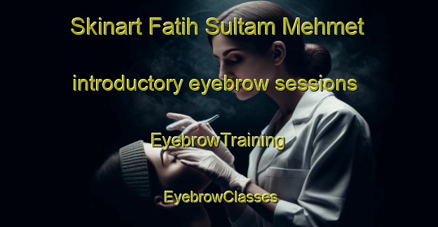 Skinart Fatih Sultam Mehmet introductory eyebrow sessions | EyebrowTraining | EyebrowClasses | SkinartTraining-Turkey