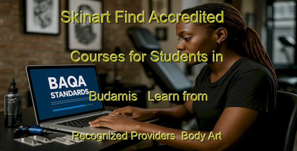 Skinart Find Accredited Courses for Students in Budamis - Learn from Recognized Providers | Body Art Qualification Authority | BAQA-Turkey