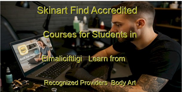 Skinart Find Accredited Courses for Students in Elmaliciftligi - Learn from Recognized Providers | Body Art Qualification Authority | BAQA-Turkey