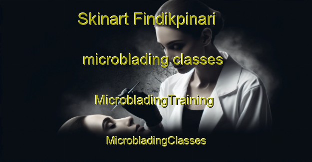 Skinart Findikpinari microblading classes | #MicrobladingTraining #MicrobladingClasses #SkinartTraining-Turkey