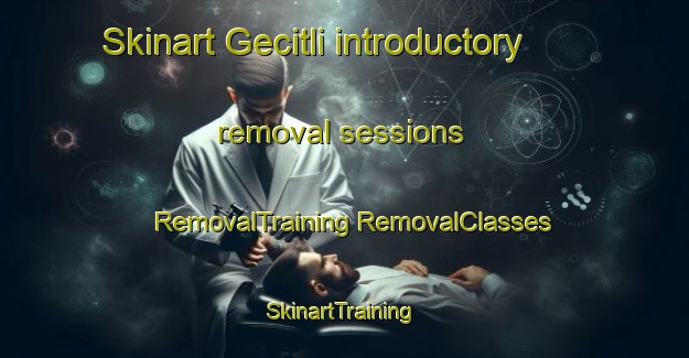 Skinart Gecitli introductory removal sessions | #RemovalTraining #RemovalClasses #SkinartTraining-Turkey