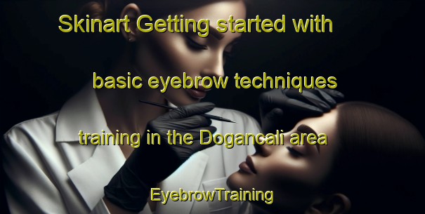 Skinart Getting started with basic eyebrow techniques training in the Dogancali area | EyebrowTraining | EyebrowClasses | SkinartTraining-Turkey