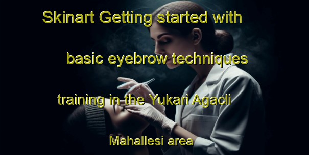 Skinart Getting started with basic eyebrow techniques training in the Yukari Agacli Mahallesi area | EyebrowTraining | EyebrowClasses | SkinartTraining-Turkey