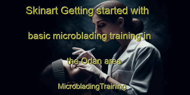 Skinart Getting started with basic microblading training in the Odan area | MicrobladingTraining | MicrobladingClasses | SkinartTraining-Turkey