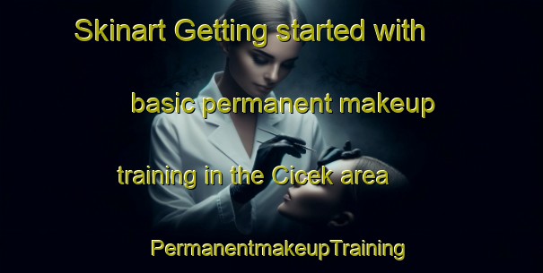 Skinart Getting started with basic permanent makeup training in the Cicek area | PermanentmakeupTraining | PermanentmakeupClasses | SkinartTraining-Turkey