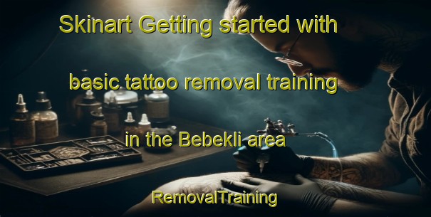 Skinart Getting started with basic tattoo removal training in the Bebekli area | RemovalTraining | RemovalClasses | SkinartTraining-Turkey