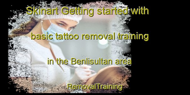 Skinart Getting started with basic tattoo removal training in the Benlisultan area | RemovalTraining | RemovalClasses | SkinartTraining-Turkey