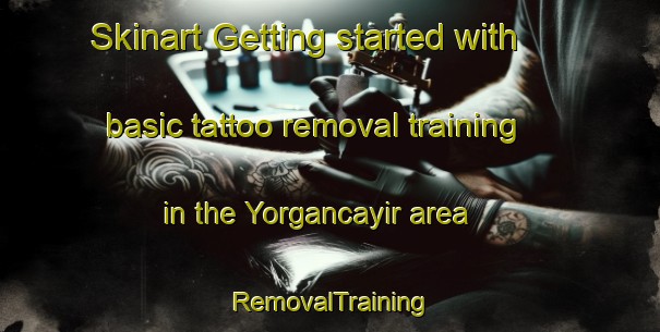 Skinart Getting started with basic tattoo removal training in the Yorgancayir area | RemovalTraining | RemovalClasses | SkinartTraining-Turkey