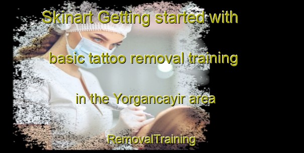 Skinart Getting started with basic tattoo removal training in the Yorgancayir area | RemovalTraining | RemovalClasses | SkinartTraining-Turkey
