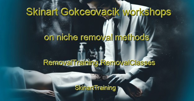 Skinart Gokceovacik workshops on niche removal methods | #RemovalTraining #RemovalClasses #SkinartTraining-Turkey