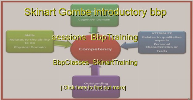 Skinart Gombe introductory bbp sessions | BbpTraining | BbpClasses | SkinartTraining-Turkey