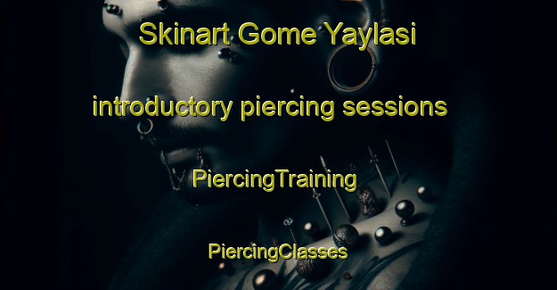 Skinart Gome Yaylasi introductory piercing sessions | #PiercingTraining #PiercingClasses #SkinartTraining-Turkey