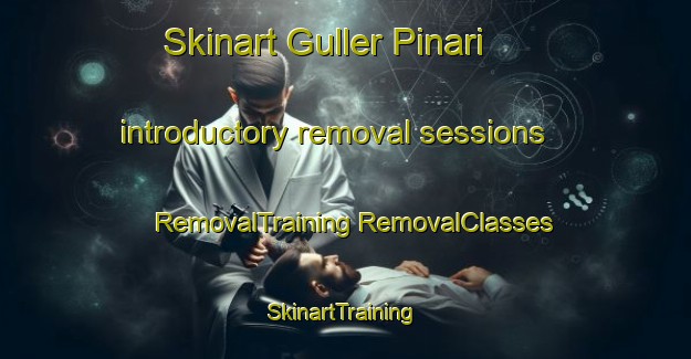 Skinart Guller Pinari introductory removal sessions | #RemovalTraining #RemovalClasses #SkinartTraining-Turkey