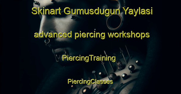 Skinart Gumusdugun Yaylasi advanced piercing workshops | #PiercingTraining #PiercingClasses #SkinartTraining-Turkey