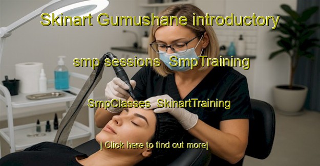 Skinart Gumushane introductory smp sessions | SmpTraining | SmpClasses | SkinartTraining-Turkey