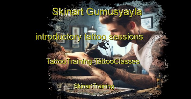 Skinart Gumusyayla introductory tattoo sessions | #TattooTraining #TattooClasses #SkinartTraining-Turkey