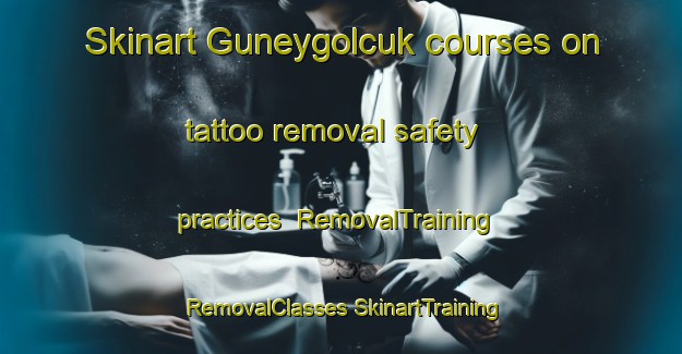 Skinart Guneygolcuk courses on tattoo removal safety practices | #RemovalTraining #RemovalClasses #SkinartTraining-Turkey